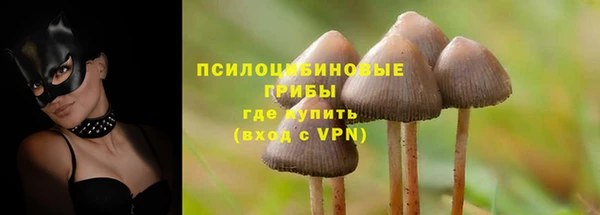 стаф Алексеевка