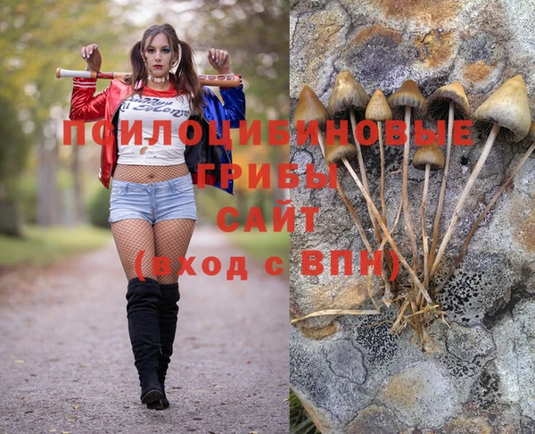 стаф Алексеевка