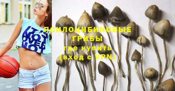 прущая мука Алзамай