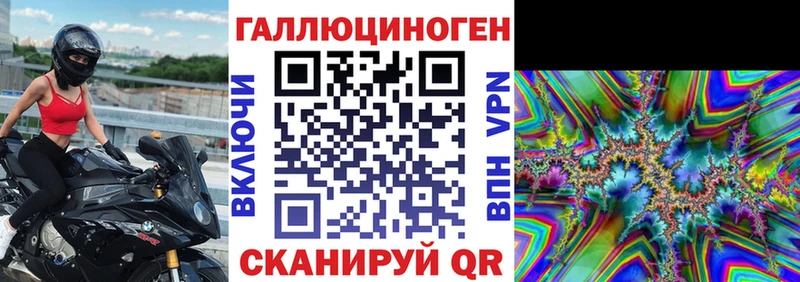 хочу наркоту  Морозовск  Псилоцибиновые грибы Psilocybine cubensis 